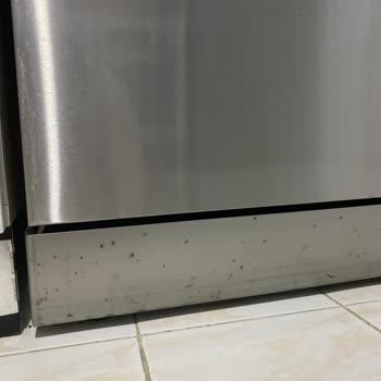 Bulaşık Makinesi Renk Atıyor, Mağduriyetim Giderilsin