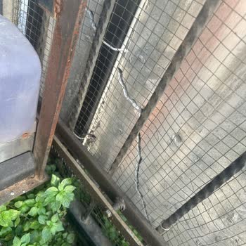 Axa Sigorta Hasar Tespitinde Düşük Ödeme ve Sürecin Uzaması Mağduriyetim