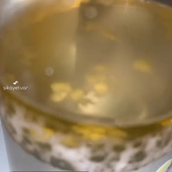 Garnier Micellar Su Küflü