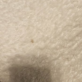 Halılar Yıkanmadan Teslim Edildi, İlgisiz Tavır Ve Ek Ücret Talebiyle Mağdur Oldum