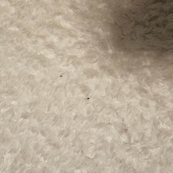 Halılar Yıkanmadan Teslim Edildi, İlgisiz Tavır Ve Ek Ücret Talebiyle Mağdur Oldum