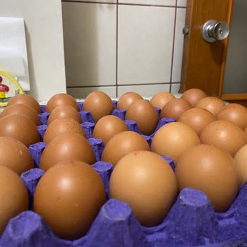 Berk Süt Mamülleri Organik Yumurta Kartonunda Yanıltıcı Boyut Uygulaması Ve Müşteri Mağduriyeti