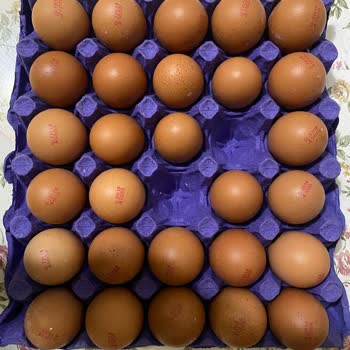 Berk Süt Mamülleri Organik Yumurta Kartonunda Yanıltıcı Boyut Uygulaması Ve Müşteri Mağduriyeti