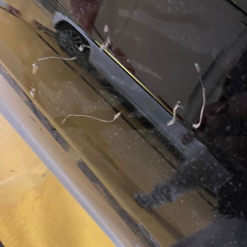 Yanlış Park Edilen Martı Mopedin Aracıma Zarar Vermesi Ve Destek Eksikliği