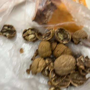 BİM’den Aldığım Ceviz Bayat Ve Kurtlanmış Çıktı, Mağduriyet Yaşadım