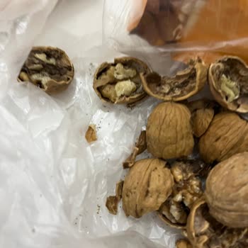 BİM’den Aldığım Ceviz Bayat Ve Kurtlanmış Çıktı, Mağduriyet Yaşadım