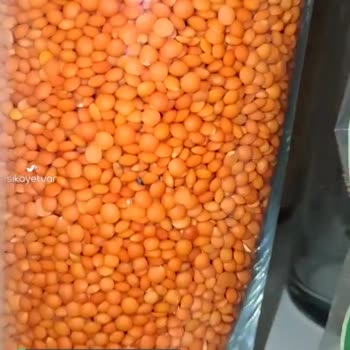 Duru Kırmızı Mercimeğin İçerisinden Böcek Çıktı