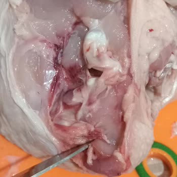 Paketli Tavukta Kanlı Ve Mor Görüntü Hijyen Endişesi Yaşadım