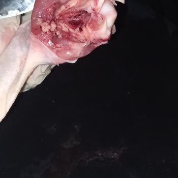 Paketli Tavukta Kanlı Ve Mor Görüntü Hijyen Endişesi Yaşadım