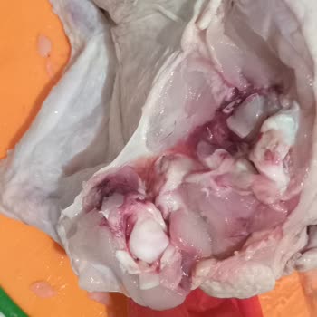 Paketli Tavukta Kanlı Ve Mor Görüntü Hijyen Endişesi Yaşadım