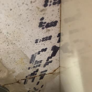 Garanti Kapsamındaki Mermerde Çatlak Ve Çözüm Sunulmaması