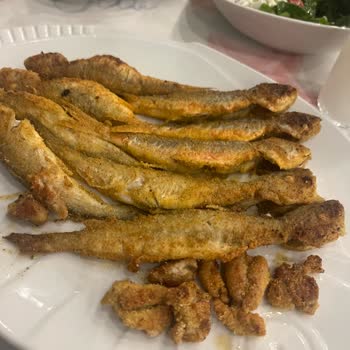 Yemek Keyfini Bozan Sinek Sorunu Ve Yetersiz Çözüm