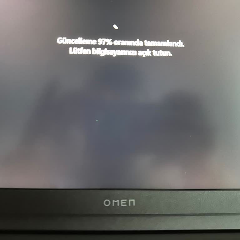 HP Omen Laptopta Piksel Hatası Ve Değişim Sürecinin Uzaması Nedeniyle Mağduriyet