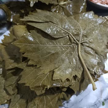 Instagram Siparişimde Farklı Ve Kalitesiz Yaprak Gönderildi Mağdur Edildim