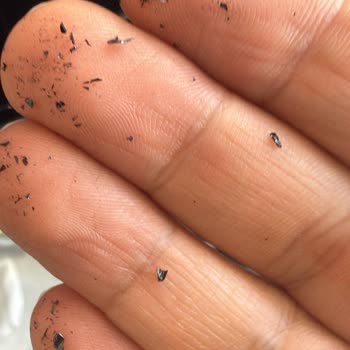 Garanti Kapsamındaki Fırının Boyası Dökülüyor, Çözüm Bekliyorum