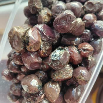 Fora Zeytin Küflü Zeytin Teslimatı ve Güven Sorunu