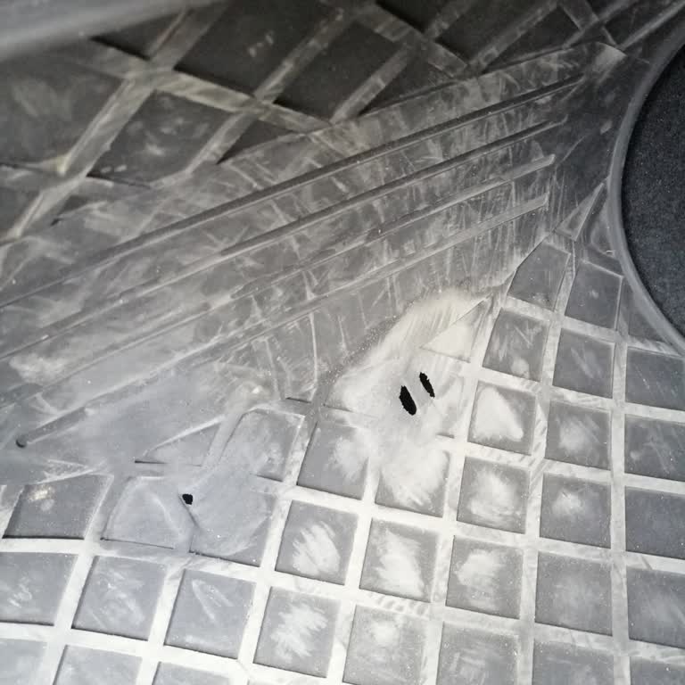 Yeni Renault Clio'nun Sürücü Paspasında Erken Erime Ve Dağılma Sorunu Yaşadım