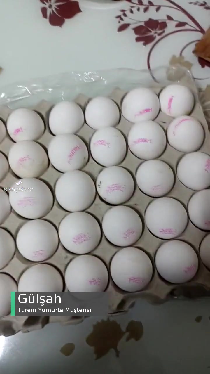 Türem Yumurta Ne Bu Umursamazlık! videonun kapak resmi