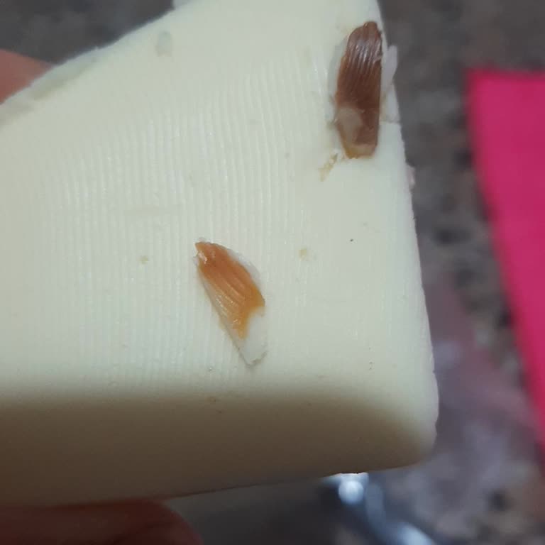 Kaşar Peynirinde Yabancı Cisimle Karşılaştım, Açıklama Ve İade Talep Ediyorum