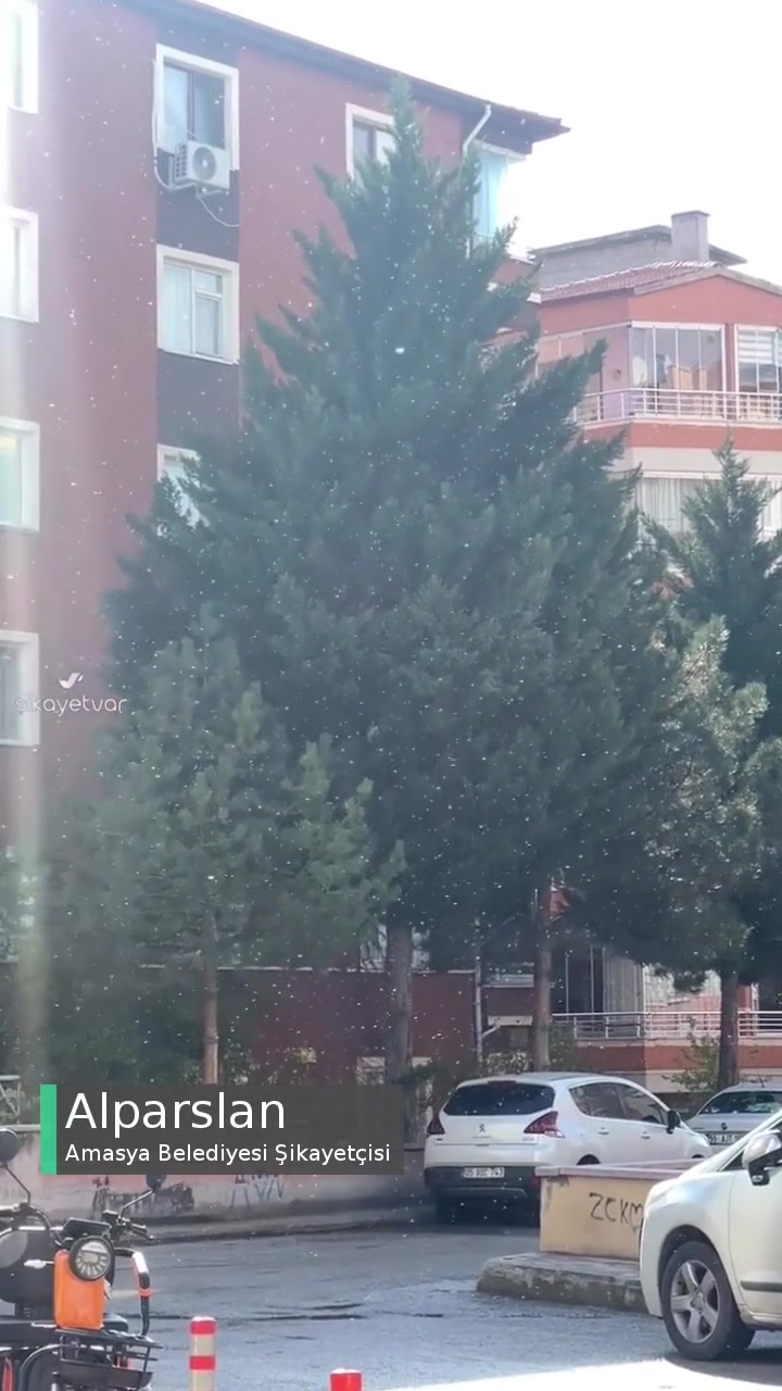 Amasya Belediyesi Büyük Sorun! videonun kapak resmi