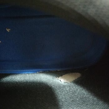 FLO Mağazasından Alınan Ayakkabının Garanti Kapsamında Değiştirilmemesi Hayal Kırıklığı Yarattı