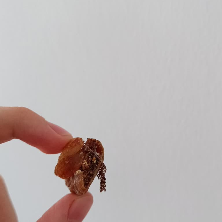 Pınar Kuruyemiş Satın Aldığım Kuruyemişte Kurt Ve Güve Çıkması, İade Taleplerimin Reddedilmesi