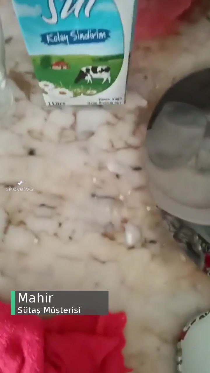 Sütaş Laktozsuz Süt Bozuk Çıktı! videonun kapak resmi