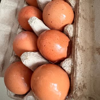 Kırık Yumurtalar İçin İade Sürecinde Yetersiz Bilgilendirme Ve Mağduriyet Yaşadım