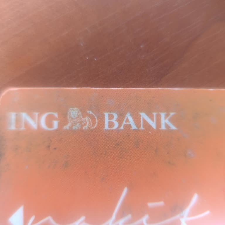 Uzun Süredir Blokeli Hesap Ve Kart Nedeniyle ING Bank’a Erişim Sağlayamıyorum
