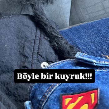 Köpeğimin Tıraşı İzinsiz Ve Hatalı Yapıldı