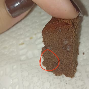 Eti Popkek Baton Kek İçinde Yabancı Maddeyle Karşılaştım Hijyen Konusunda Endişeliyim