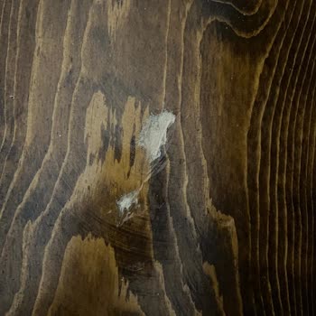 Uluslararası Taşımada Eşyalarım Hasar Gördü, Mağdur Edildim!