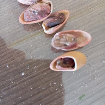 Bayat Ve Acı Gelen Siirt Fıstığı İçin İade Kodu Gönderilmiyor