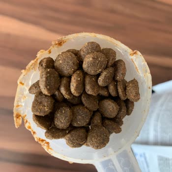 N&D Dog Food Complaint — Pet Became Sick After Consumption