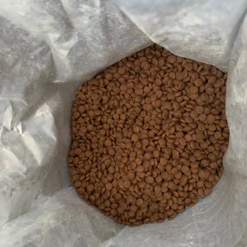 N&D Dog Food Complaint — Pet Became Sick After Consumption