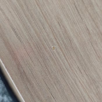Hijyen Sorunu Ve Montaj Hataları: İstikbal'den Büyük Hayal Kırıklığı