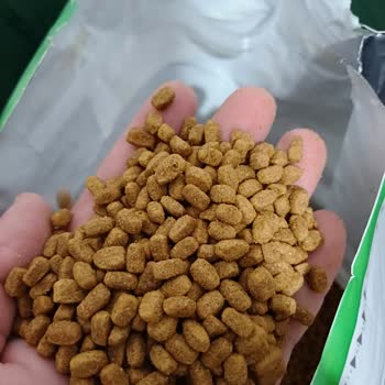 Sahte Olduğunu Düşündüğüm Kedi Maması İçin İade Talebim Sürekli Reddediliyor