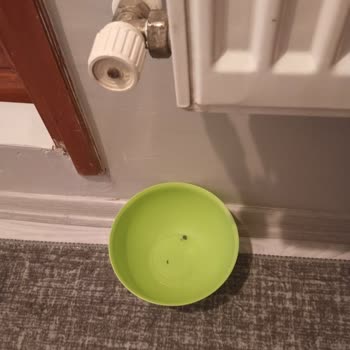 Eksik Temizlik, Su Sızıntısı Ve İletişimsizlik Mağduriyeti