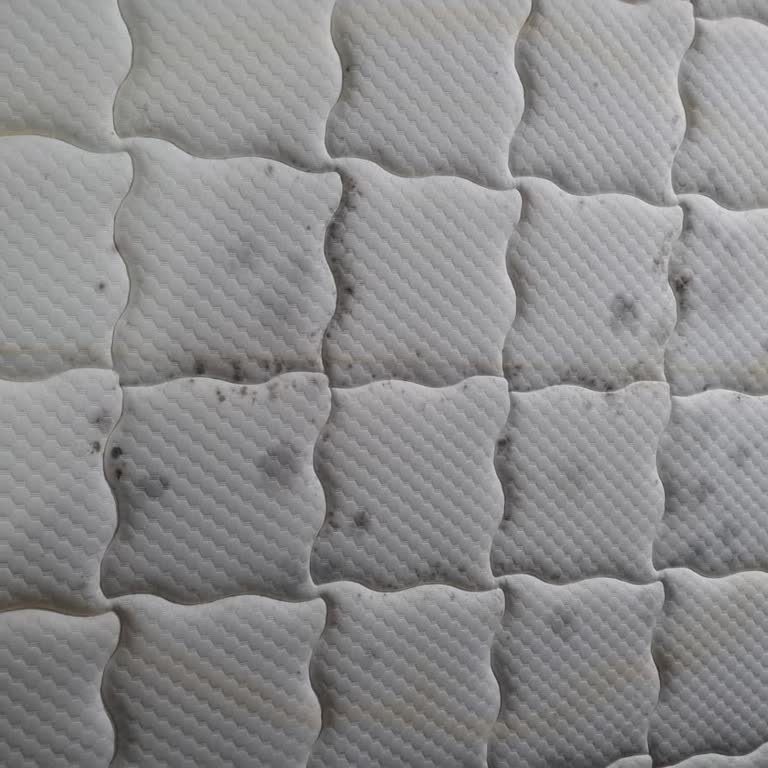 Yatakta Çökme Ve Küflenme Sorunu, Müşteri Hizmetlerine Ulaşılamıyor