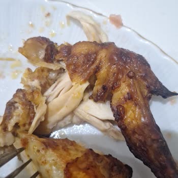 Bozuk Tavuk Teslimatı Sonrası Müşteri Hizmetlerinden Dönüş Alamadım