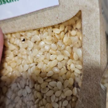 Aldığım Susamda Kurt Çıktı, Çözüm Sunulmadı