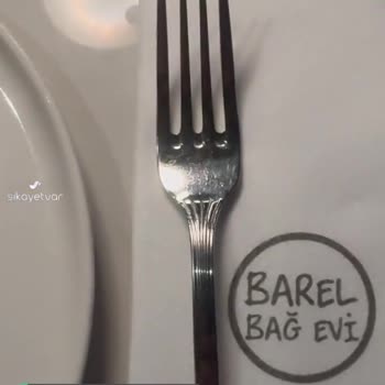 Barel Bağ Evi Yemekte Kocaman Kara Sinek Çıktı