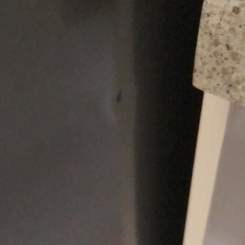 Arçelik Servisinden Hasarlı Teslimat Ve Çözümde Gecikme