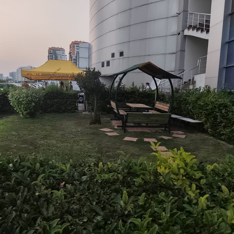 Satranç Turnuvasında Yeşil Alanın Özel Firmaya Tahsisi Ve Erişim Engeli Mağduriyeti