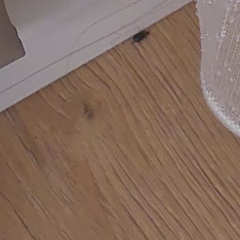 Otelde Ciddi Hijyen Sorunları Ve Haksız Ücret İadesi Reddi