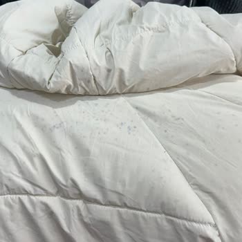 Satın Aldığım Montta Küf Lekesi Oluştu, DeFacto Sorumluluk Almadı