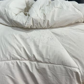 Satın Aldığım Montta Küf Lekesi Oluştu, DeFacto Sorumluluk Almadı