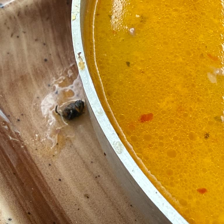 Paça Çorbasında Hamam Böceğiyle Karşılaştım Hijyen Endişesi Yaşadım