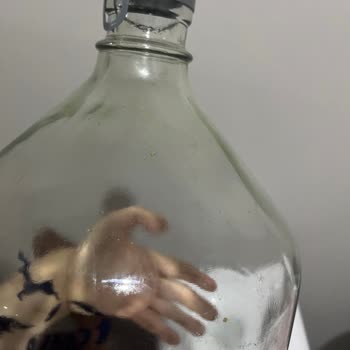 Cam Damacana Sudaki Yeşil Köpük Ve Analiz Raporu Talebim Yanıtsız Kaldı