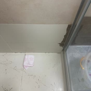 Bienca Fayans Boyasında Dökülme Ve Müşteri Hizmetlerine Ulaşamama Sorunu